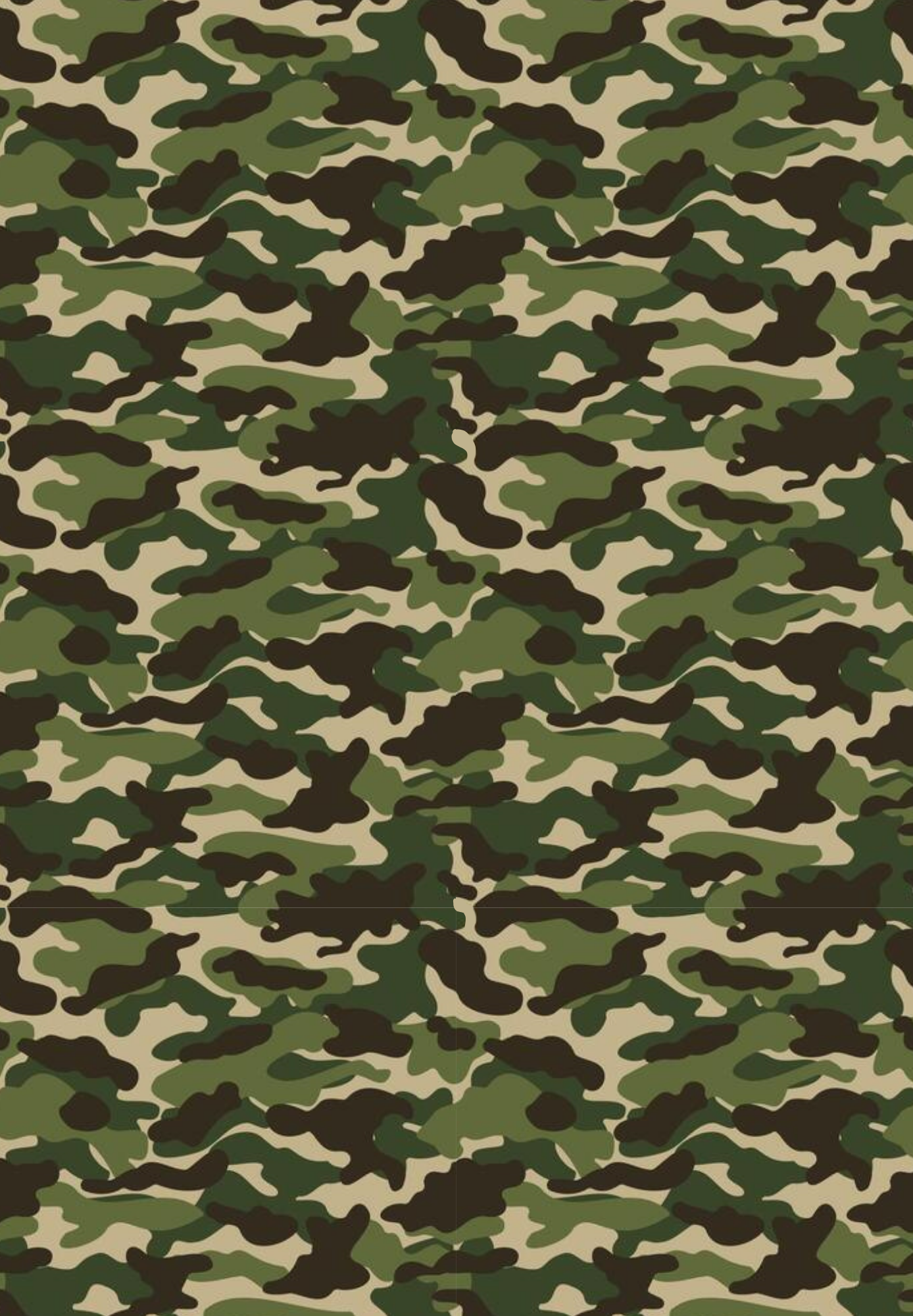 Camouflage