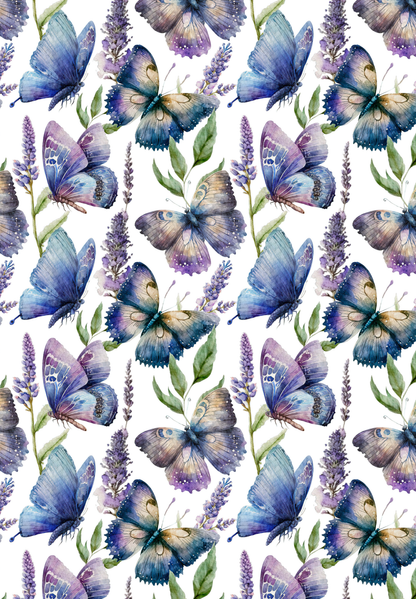 Butterflies